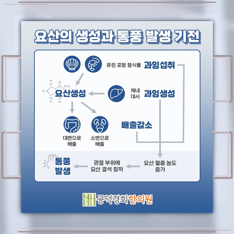 몸속 요산이 오랜 기간 쌓이며 나타나는 통풍의 과정