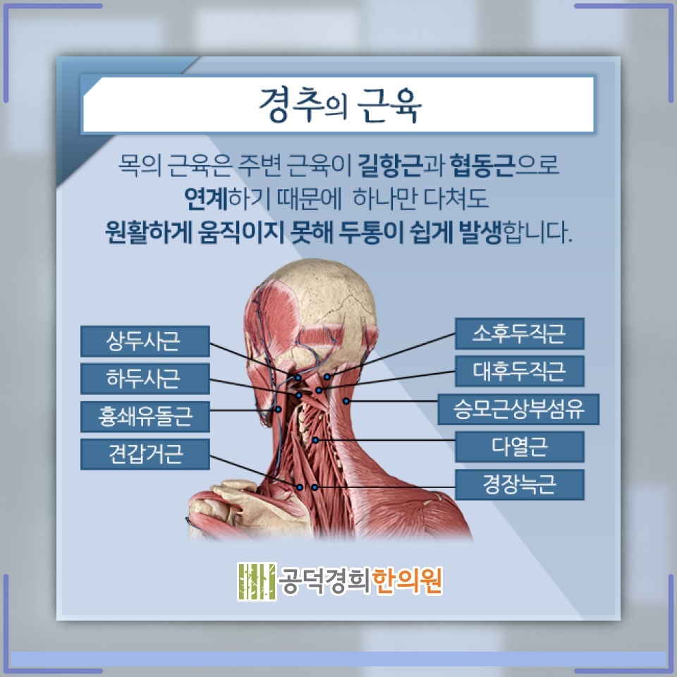 경추성두통과 관련된 잘못된 자세, 일상에서 바로잡기