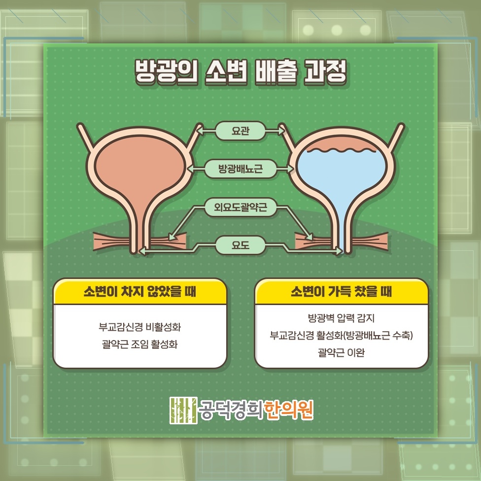 요실금 증상별 일상 관리에서 확인할 주요 사항
