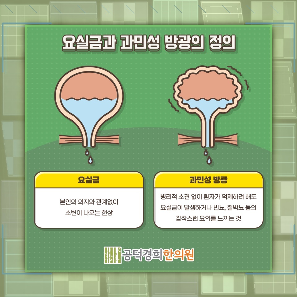 요실금 증상별 일상 관리에서 확인할 주요 사항
