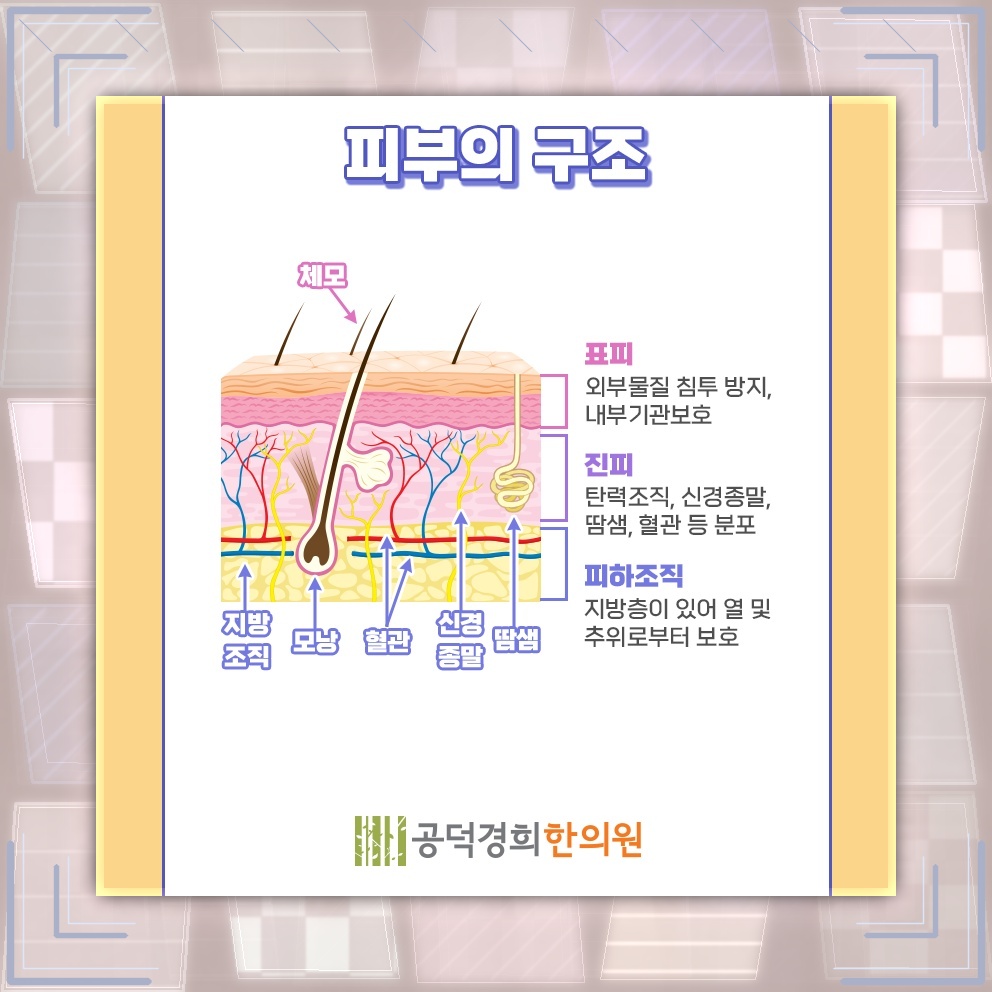 반복되는 두드러기에서 만성화 여부를 구분하는 기준
