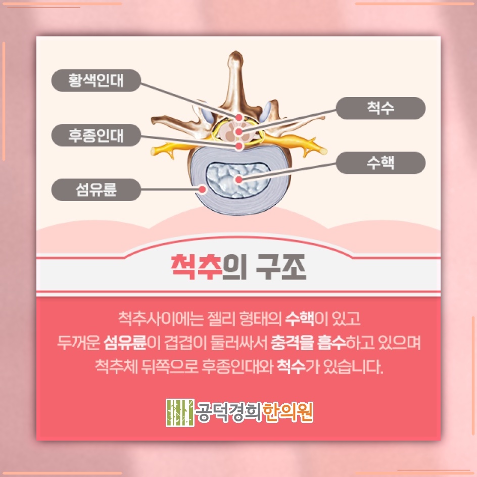 앉아 있을 때 허리디스크 부위의 척추 부담이 50% 늘어나는 이유